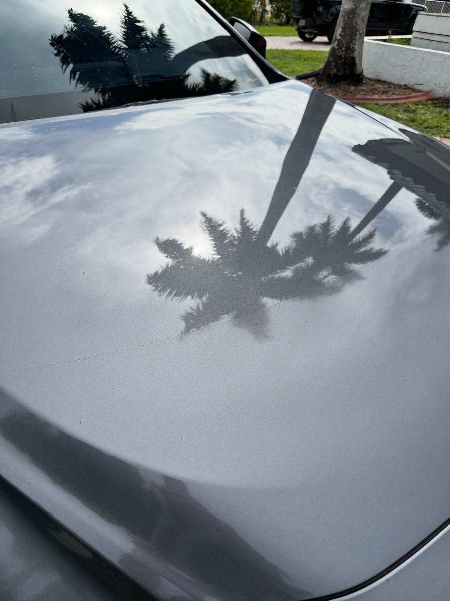 Lexus gloss hood reflection